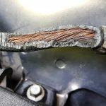 rodent damage to car wiring